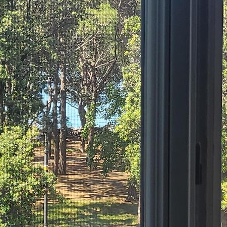 Medium Miramare Appartamento Sogno Sul Mare Трієст Екстер'єр фото