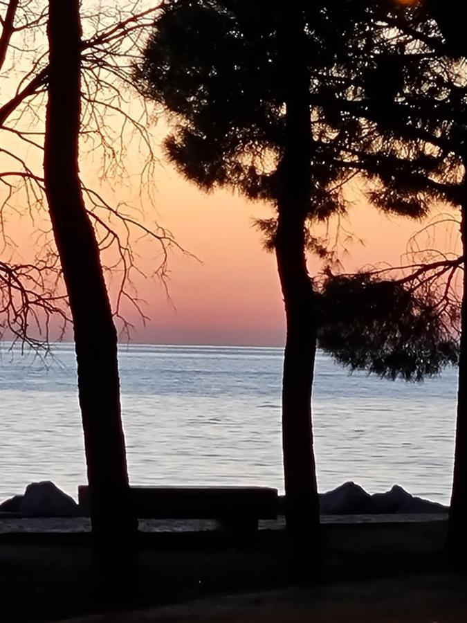Medium Miramare Appartamento Sogno Sul Mare Трієст Екстер'єр фото