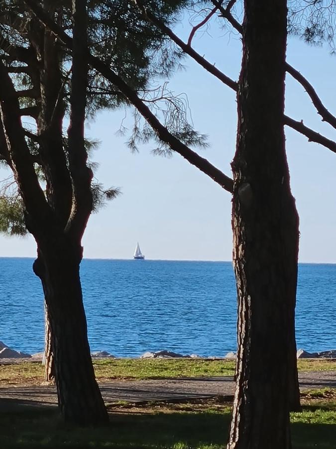 Medium Miramare Appartamento Sogno Sul Mare Трієст Екстер'єр фото